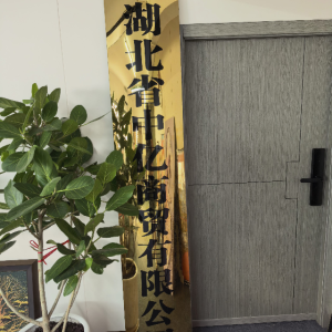湖北省中亿商贸有限公司