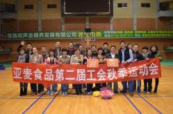 丰富的团队活动