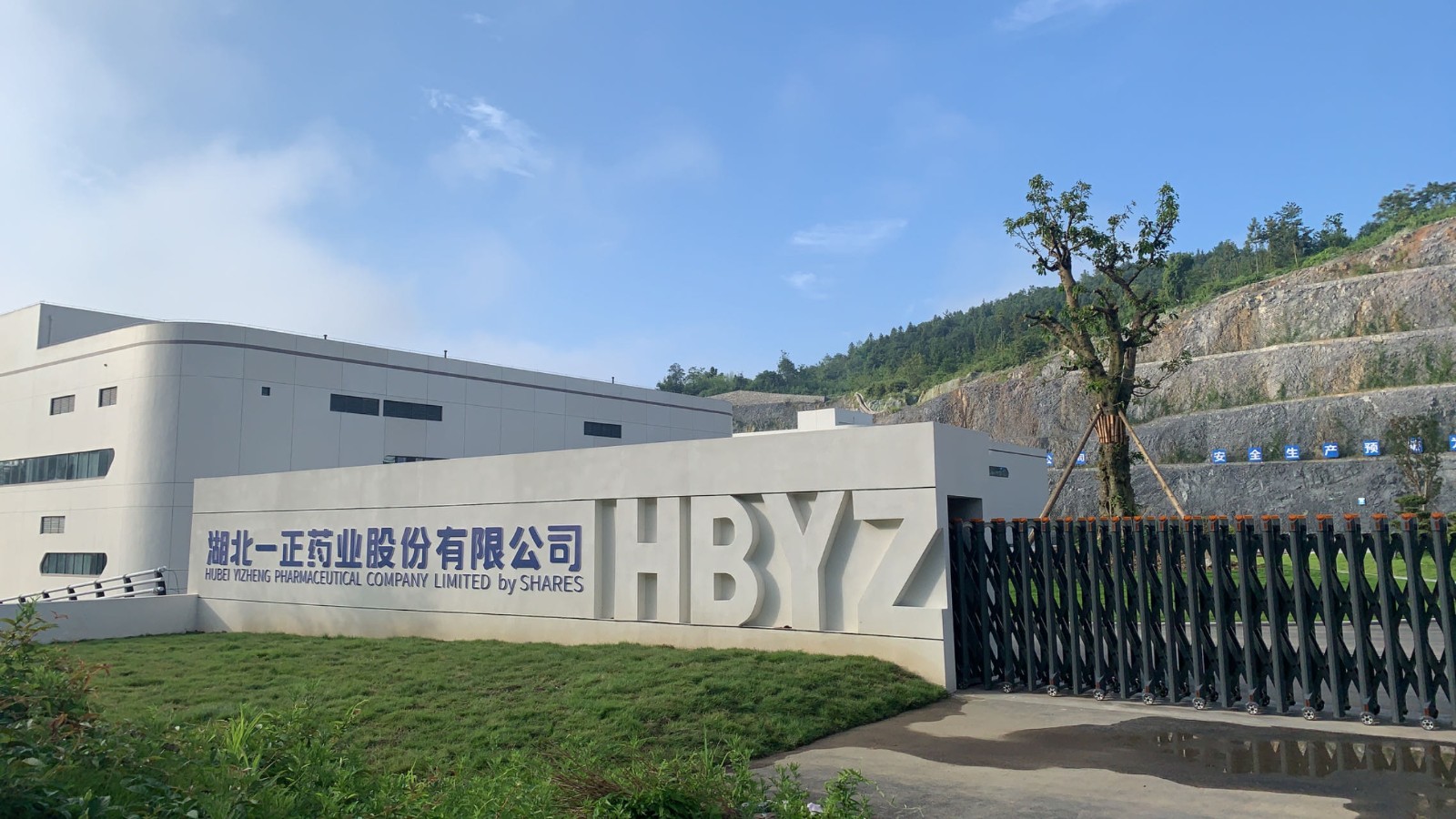c29caed9-d866-48b3-956c-5aeb3576dc55.jpg