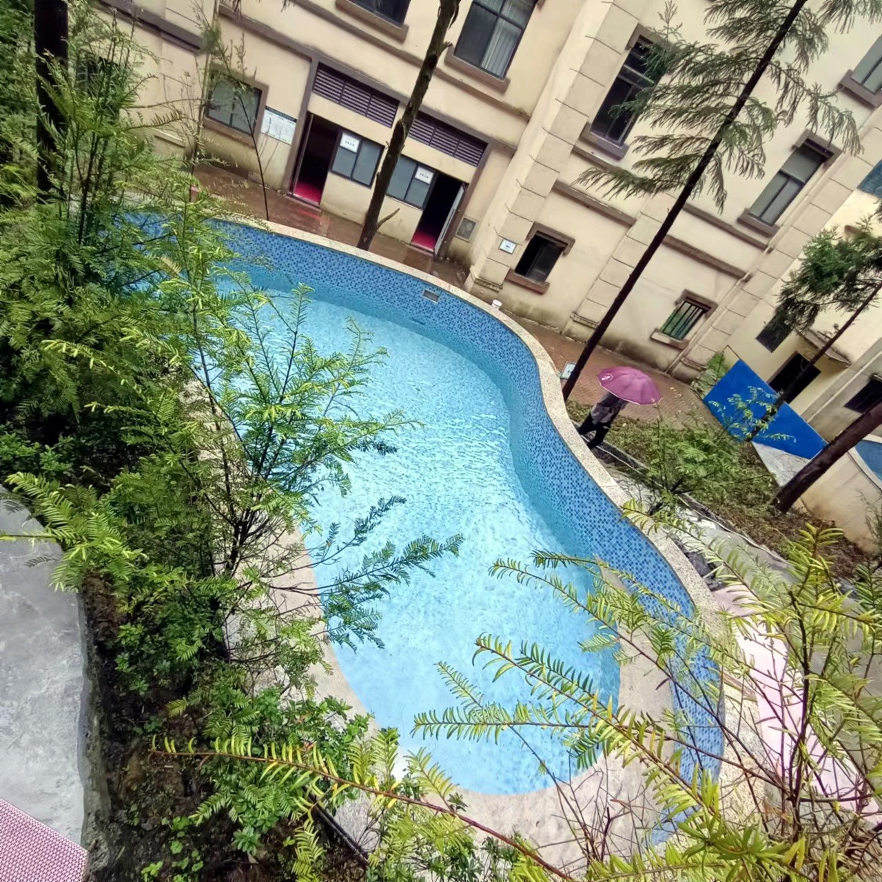汤泉1.jpg